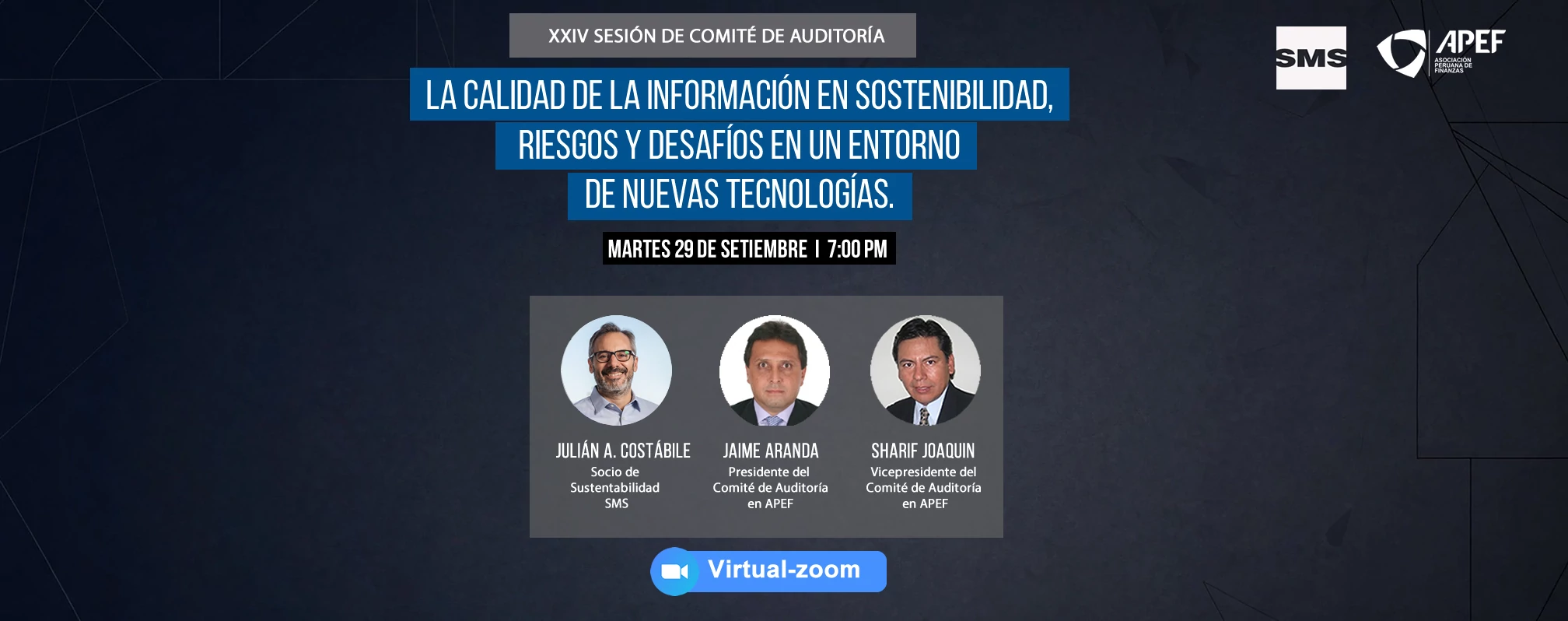 Comite Auditoria 29Sept web2