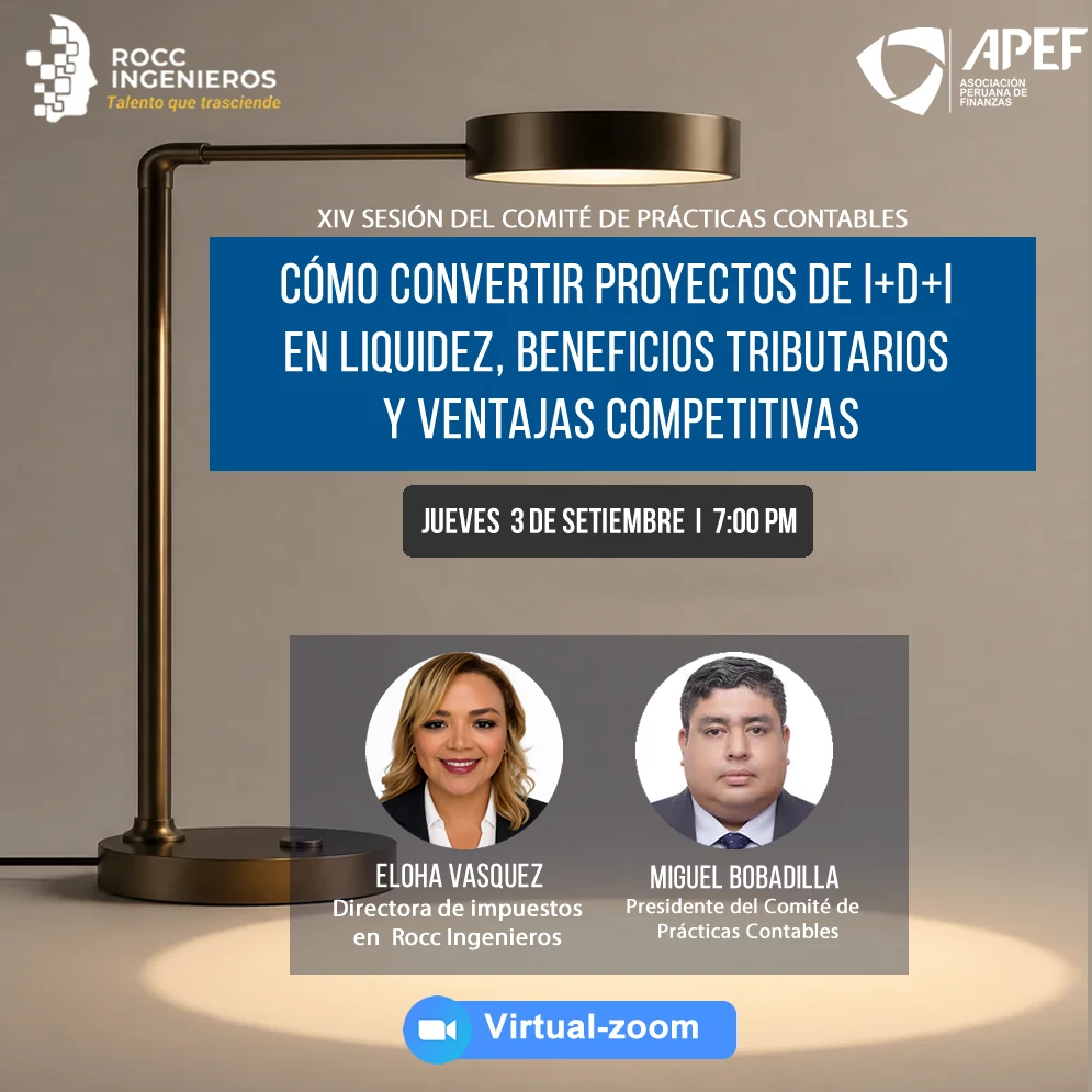 APEF - XIV Sesión del Comité De Prácticas Contables