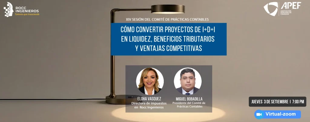 APEF - XIV Sesión del Comité De Prácticas Contables