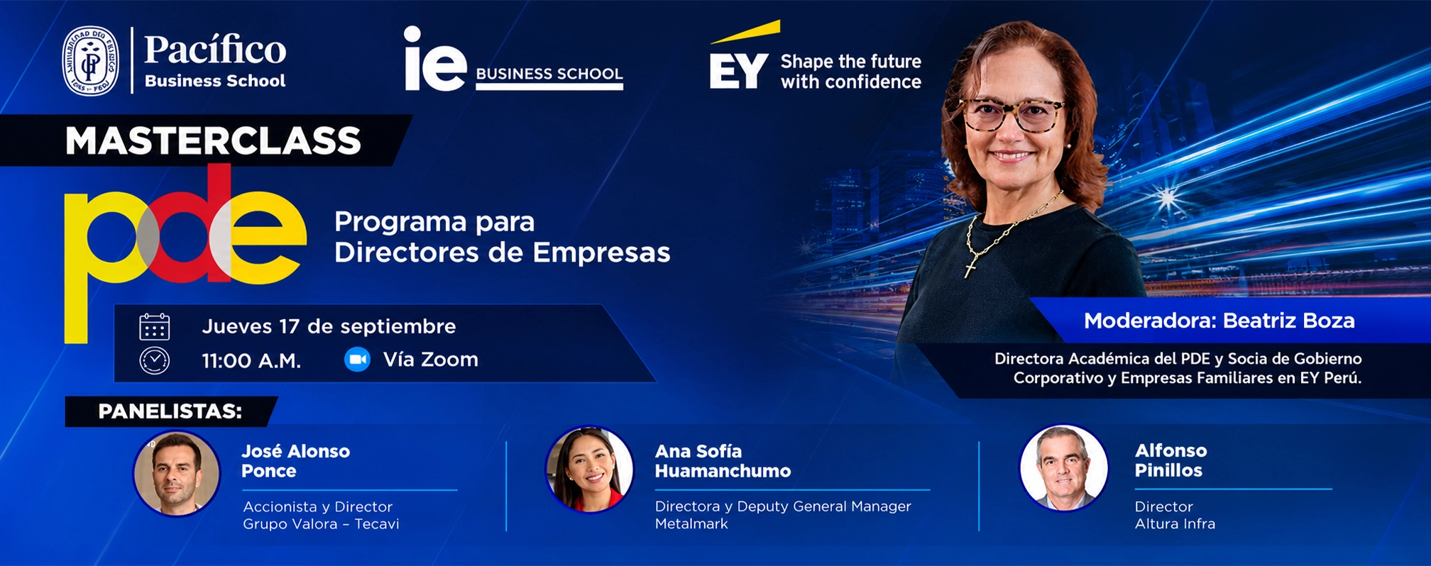 PDE masterclass web