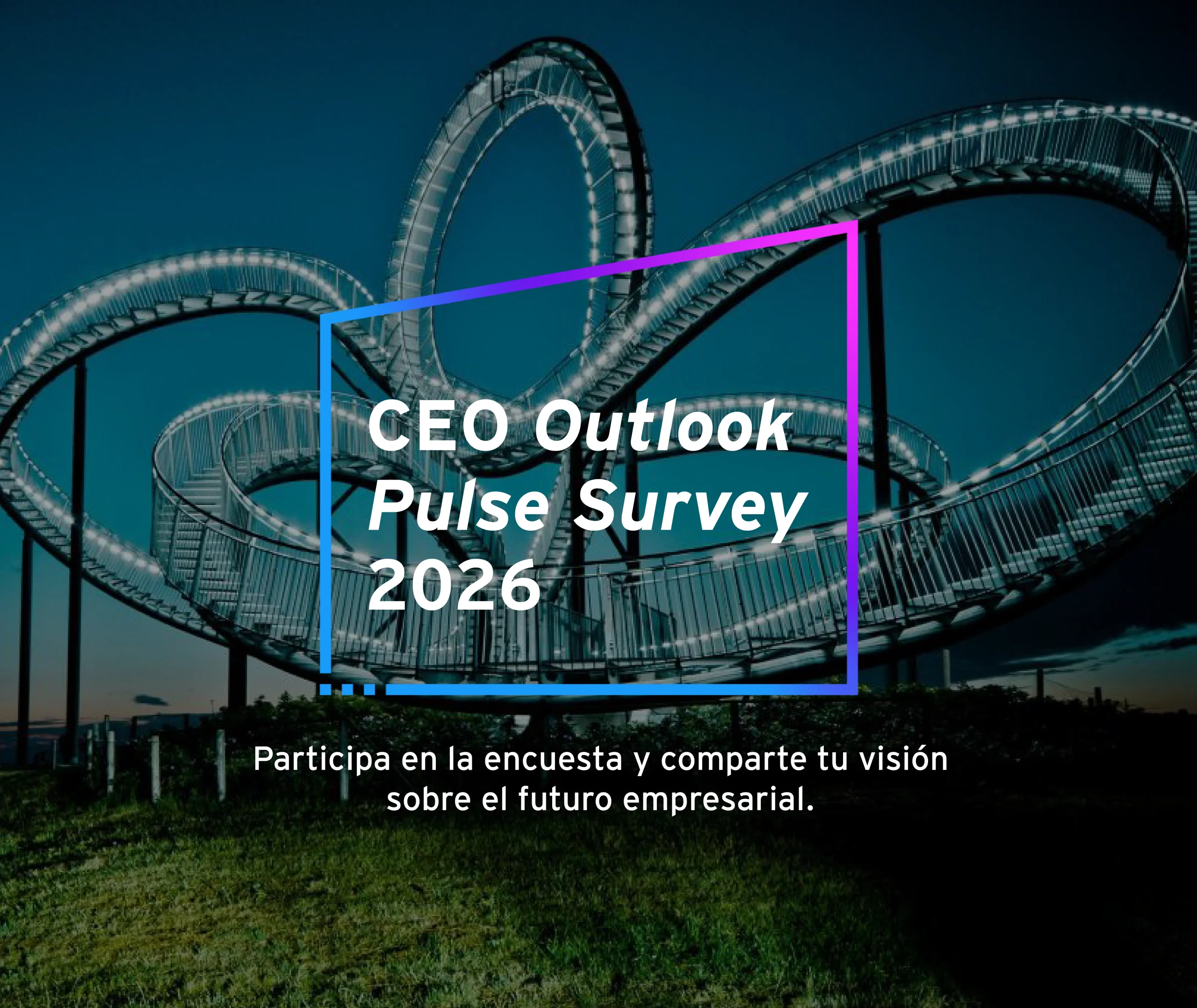 CEO OUTLOOK